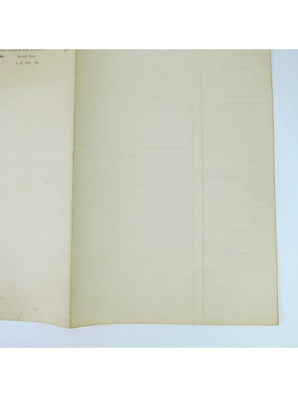 1880s Ohio Court Record Form Blank Justice, Constable, Witness Fees Antique RARE